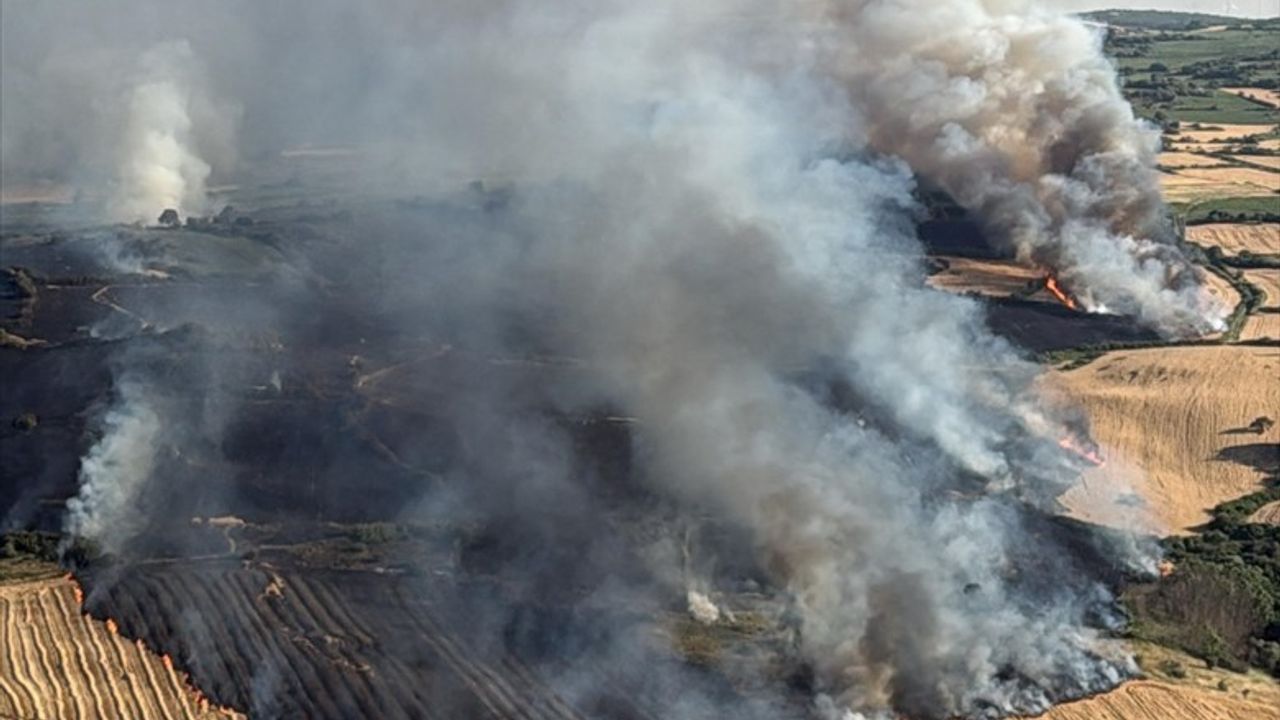 Balıkesir'de Arazide Yangın Kontrol Altına Alındı