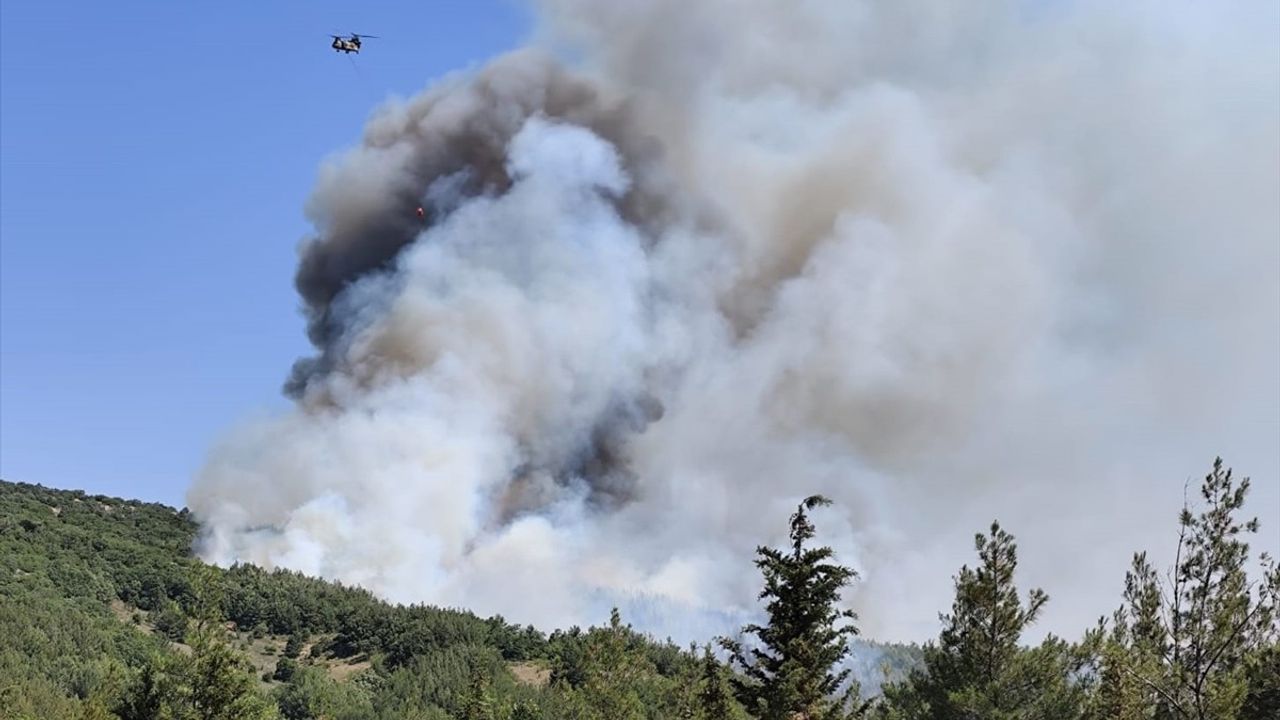 Balıkesir'de Orman Yangınına Hızla Müdahale Ediliyor