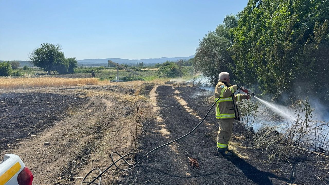 Balıkesir'de Yangın: 12 Dekar Arpa Tarlası Zarar Gördü