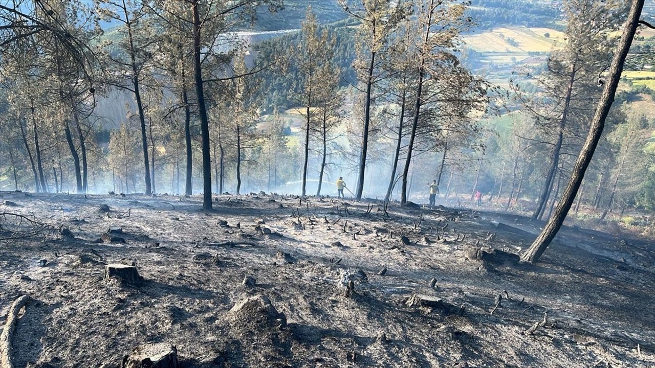 Balıkesir Dursunbey'deki Orman Yangını Kontrol Altına Alındı