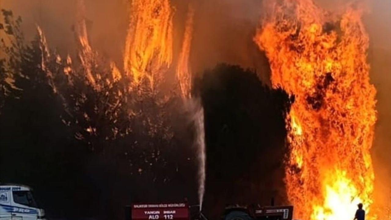 Balıkesir'in Dört İlçesinde Arazi ve Orman Yangınlarına Müdahale Devam Ediyor