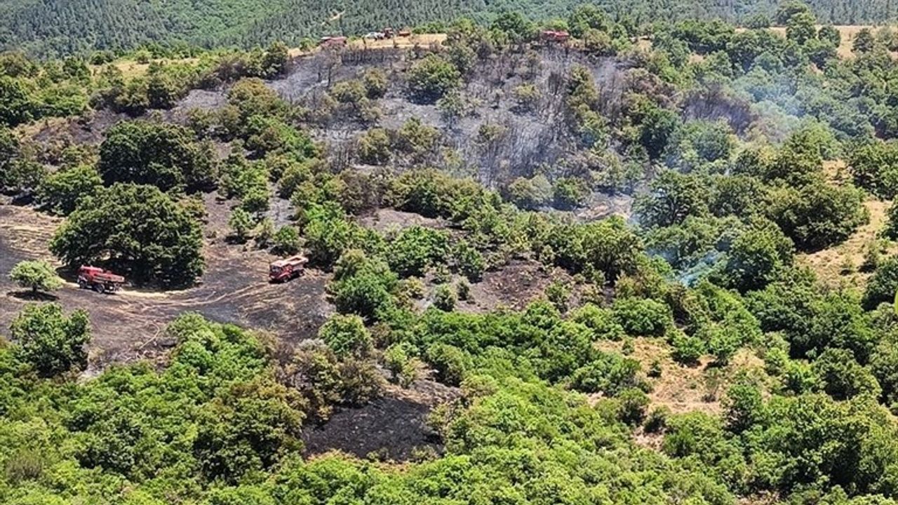 Balıkesir'in Kepsut İlçesinde Orman Yangını Kontrol Altına Alınmaya Çalışılıyor