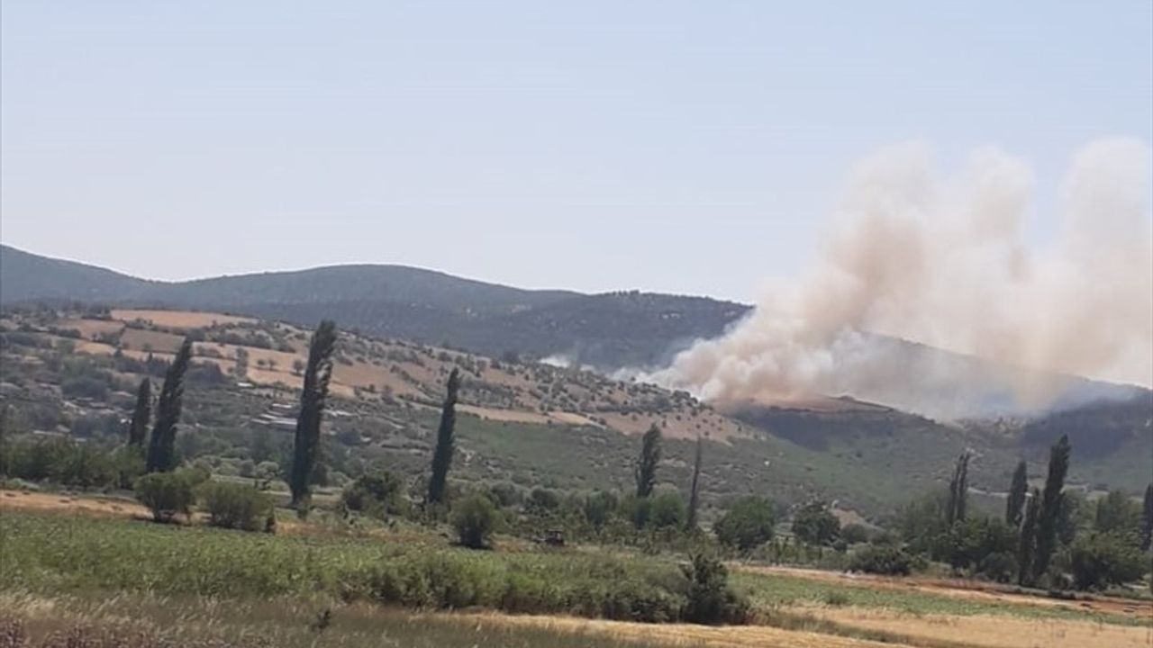 Balıkesir'in Kepsut İlçesindeki Orman Yangını Kontrol Altına Alındı