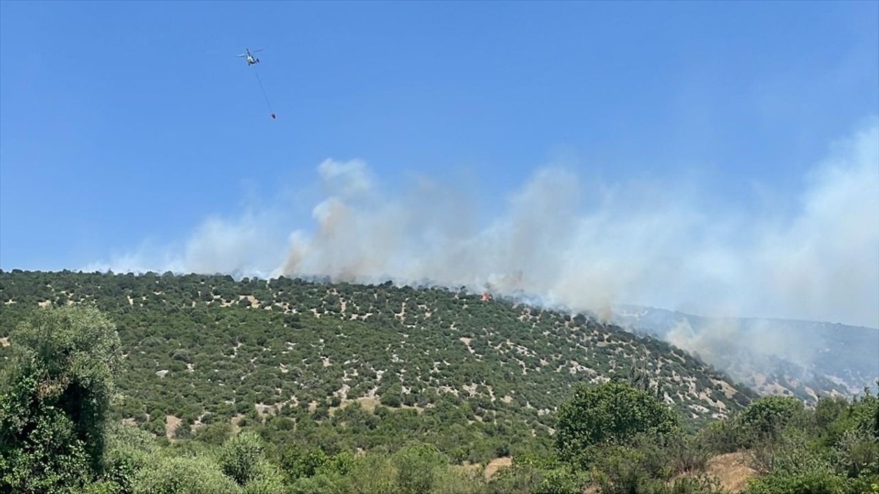 Balıkesir Karesi'de Arazide Yangın: Havadan ve Karadan Müdahale Ediliyor