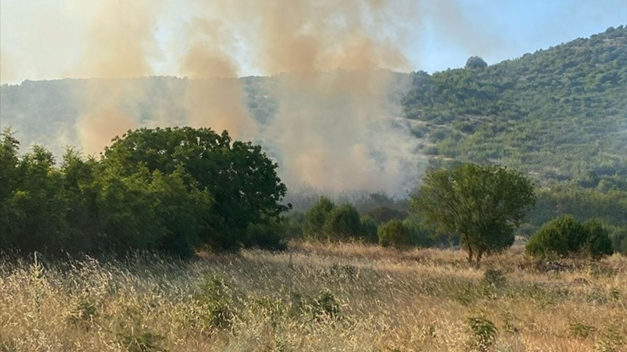 Balıkesir'de Tarım Arazisinde Yangın Kontrol Altına Alındı