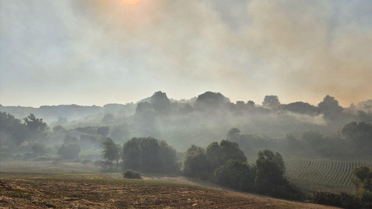 Balıkesir Susurluk'ta Arazide Yangına Müdahale Ediliyor