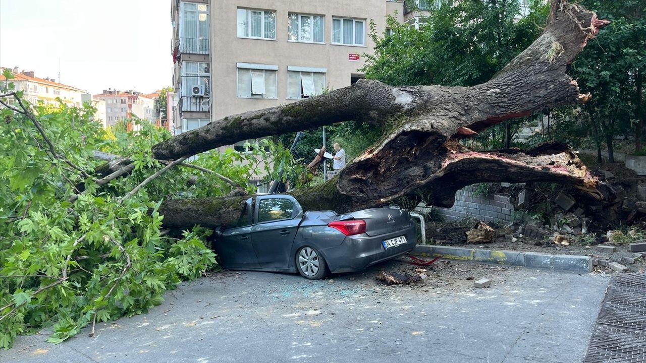 Beşiktaş'ta Devrilen Ağaç 3 Araca Zarar Verdi