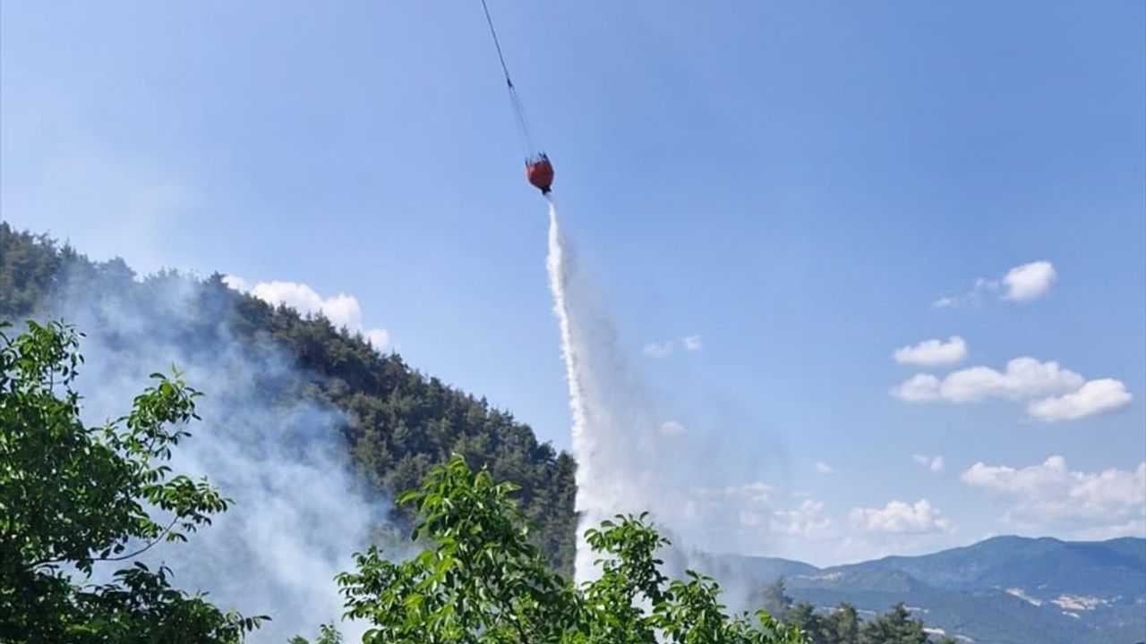 Bilecik Gölpazarı’nda Orman Yangını Kontrol Altına Alındı