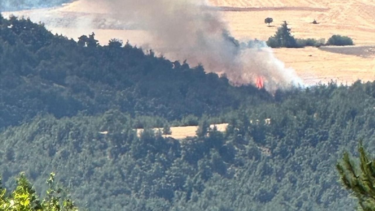 Bilecik'in Osmaneli İlçesinde Orman Yangınına Hızla Müdahale Ediliyor