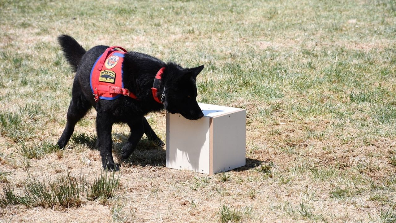 Bilecik'te Jandarma Teşkilatının 186. Yıl Dönümü Kutlandı