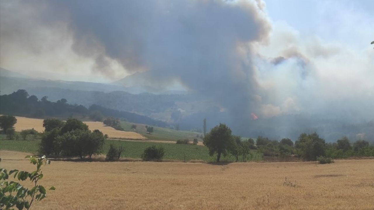 Bilecik'te Orman Yangını Kontrol Altına Alınmaya Çalışılıyor
