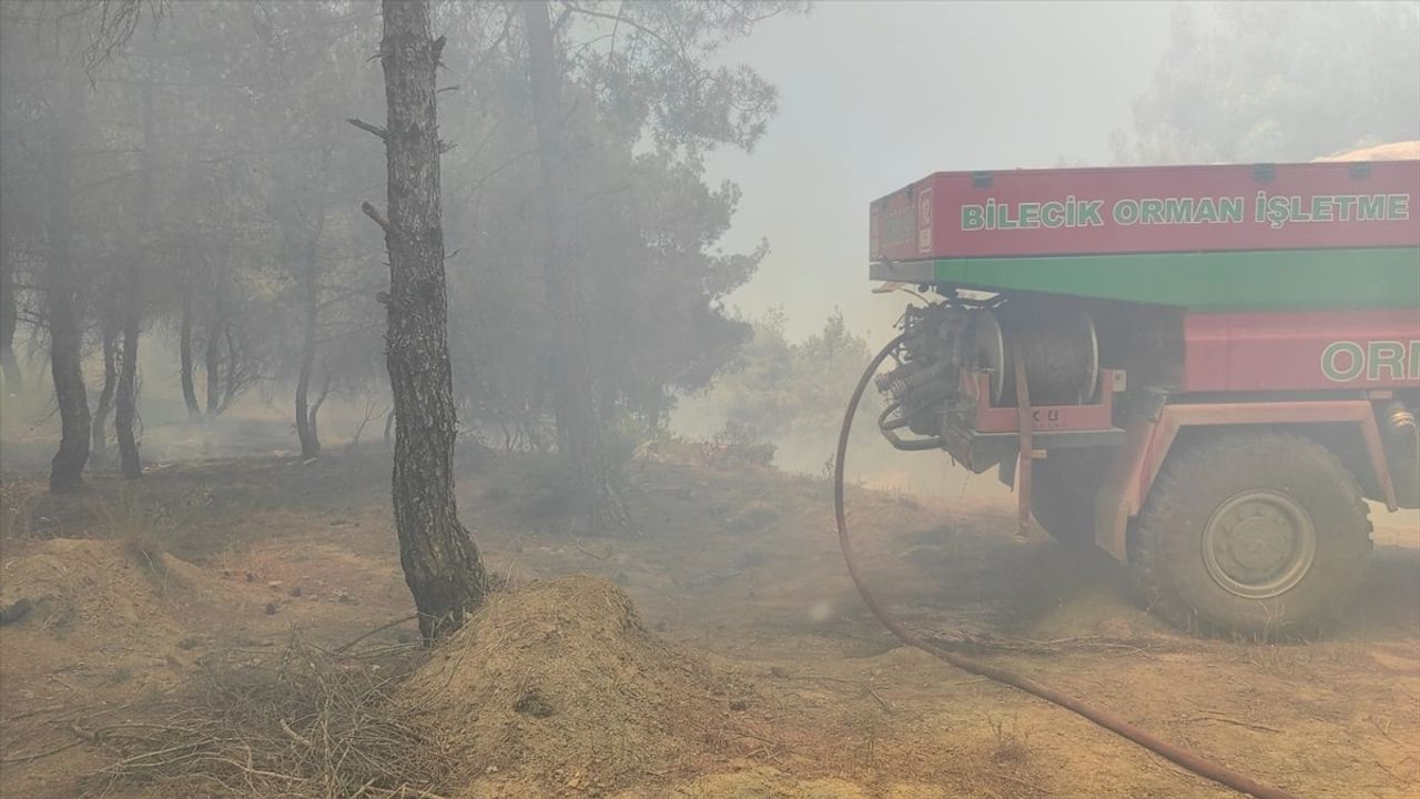 Bilecik'te Yangın: Buğday Tarlası ve Ormanlık Alan Zarar Gördü