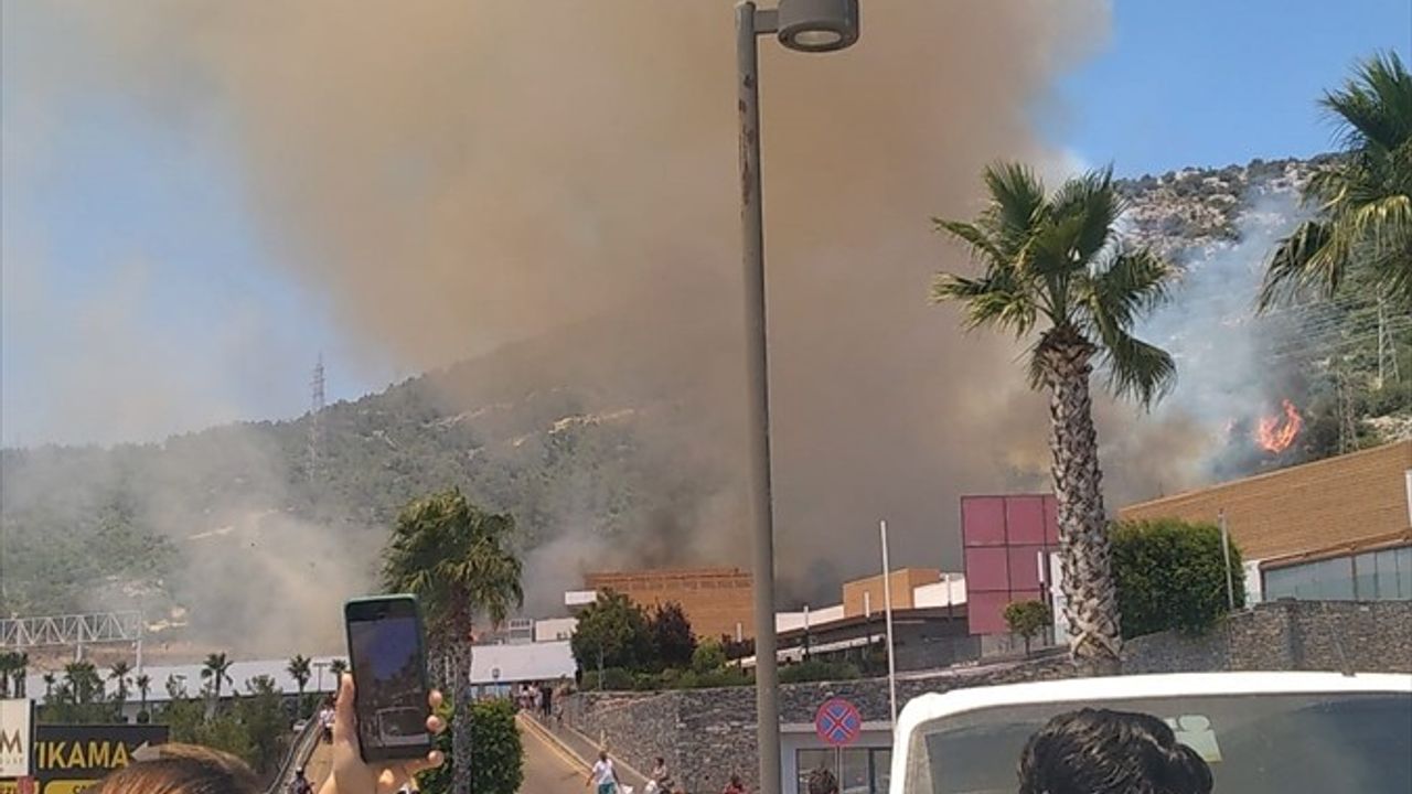 Bodrum'da Orman Yangınına Müdahale Ediliyor