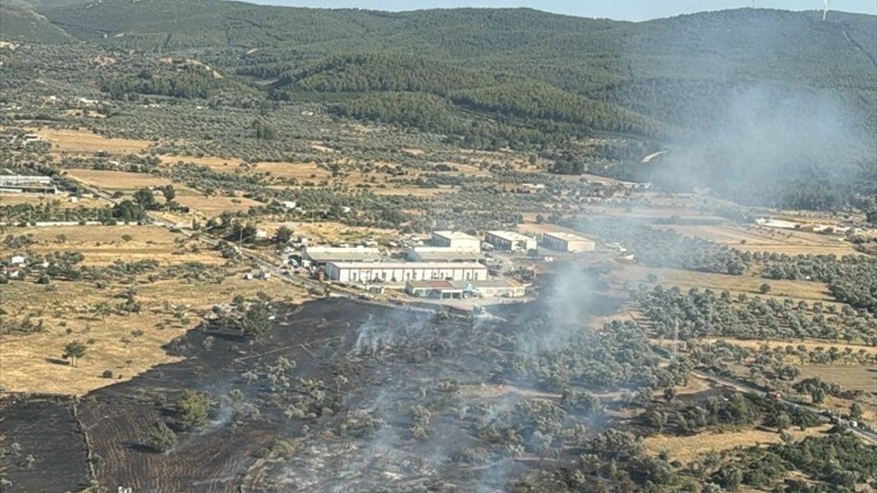 Bodrum'da Tarım Arazisinde Çıkan Yangın Kontrol Altına Alındı