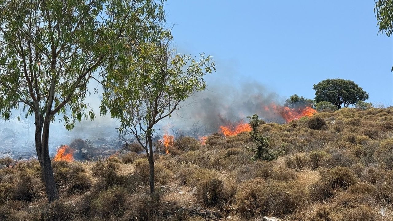 Bodrum'da Yangın: Göltürkbükü'nde Hızla Yayılıyor