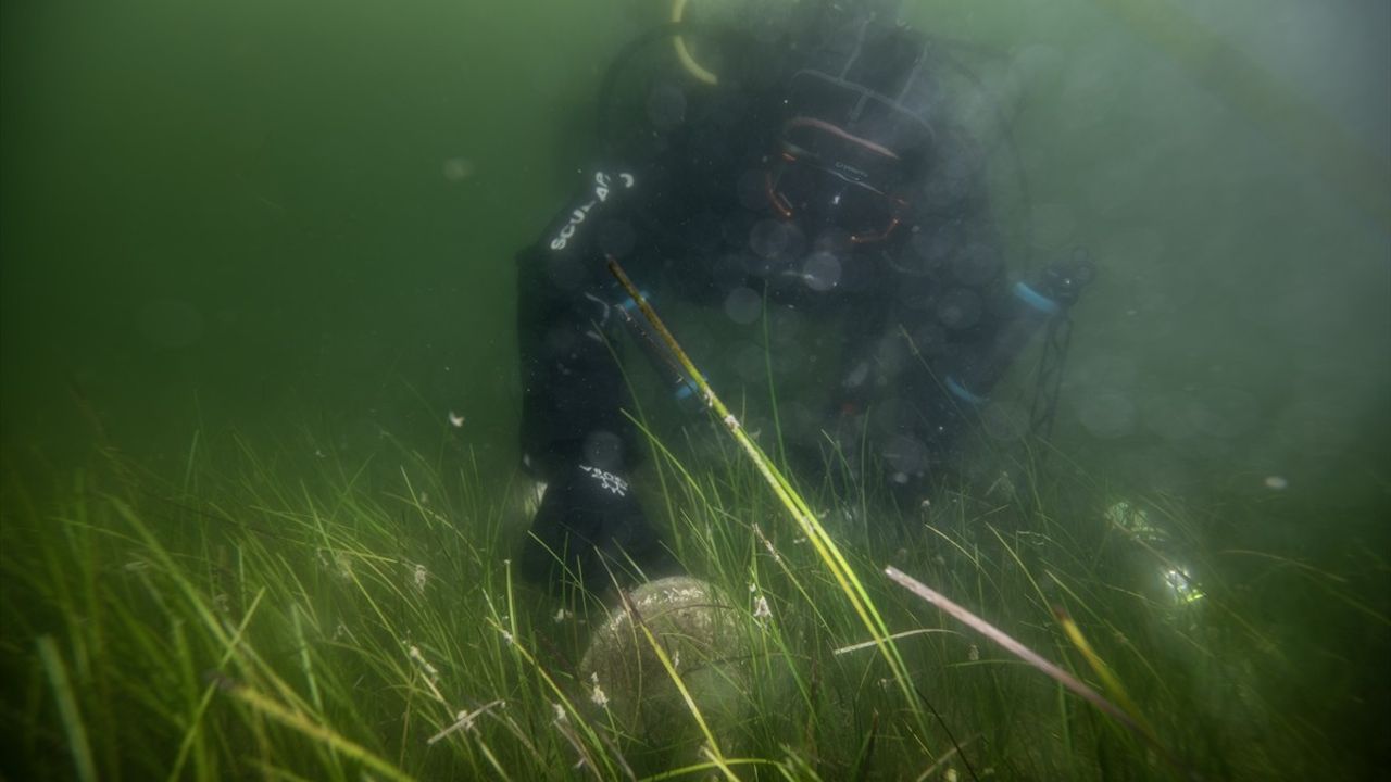Borusan Holding, Gemlik Körfezi'nde Müsilaj Farkındalık Etkinliği Düzenledi