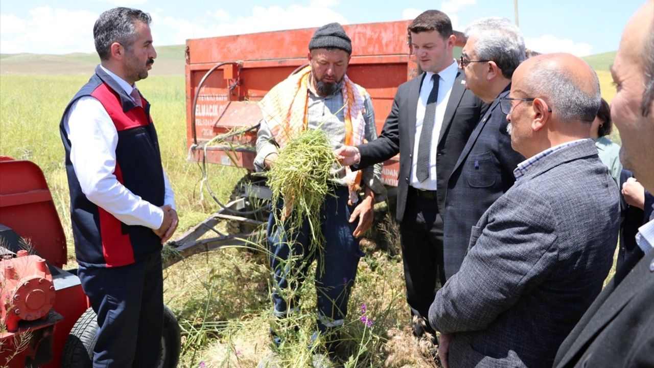Burdur'da Kuraklığa Dayanıklı Yem Bitkisi 'Ot Tipi Yem Şalgamı' Hasadı Yapıldı