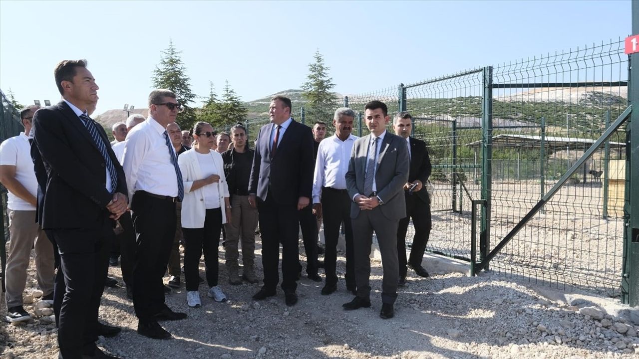 Burdur'da Sahipsiz Hayvanlar İçin Yeni Rehabilitasyon Alanı Açıldı