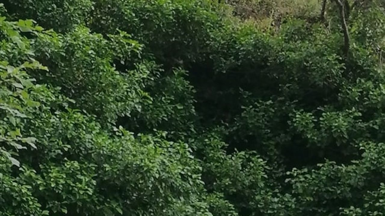 Burdur'un Bucak ilçesinde kayalıklardan düşen kadın hayatını kaybetti