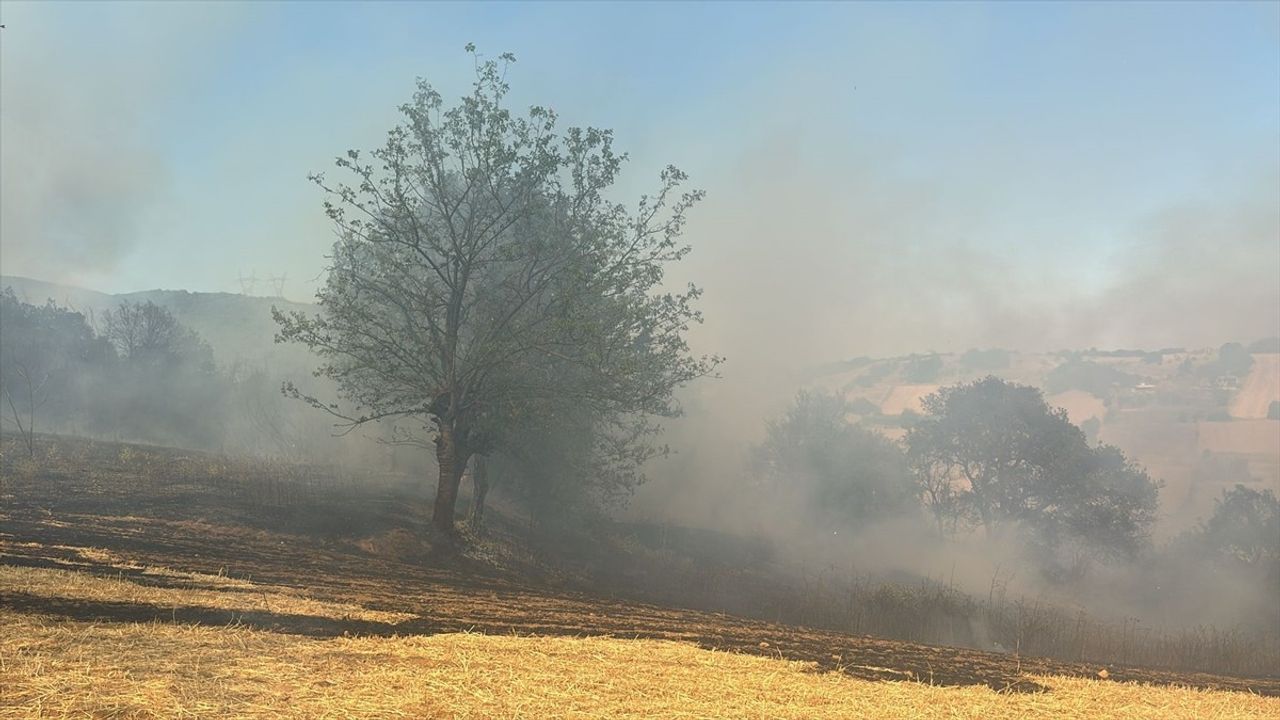 Bursa'da İki Ayrı Orman Yangınına Müdahale Ediliyor