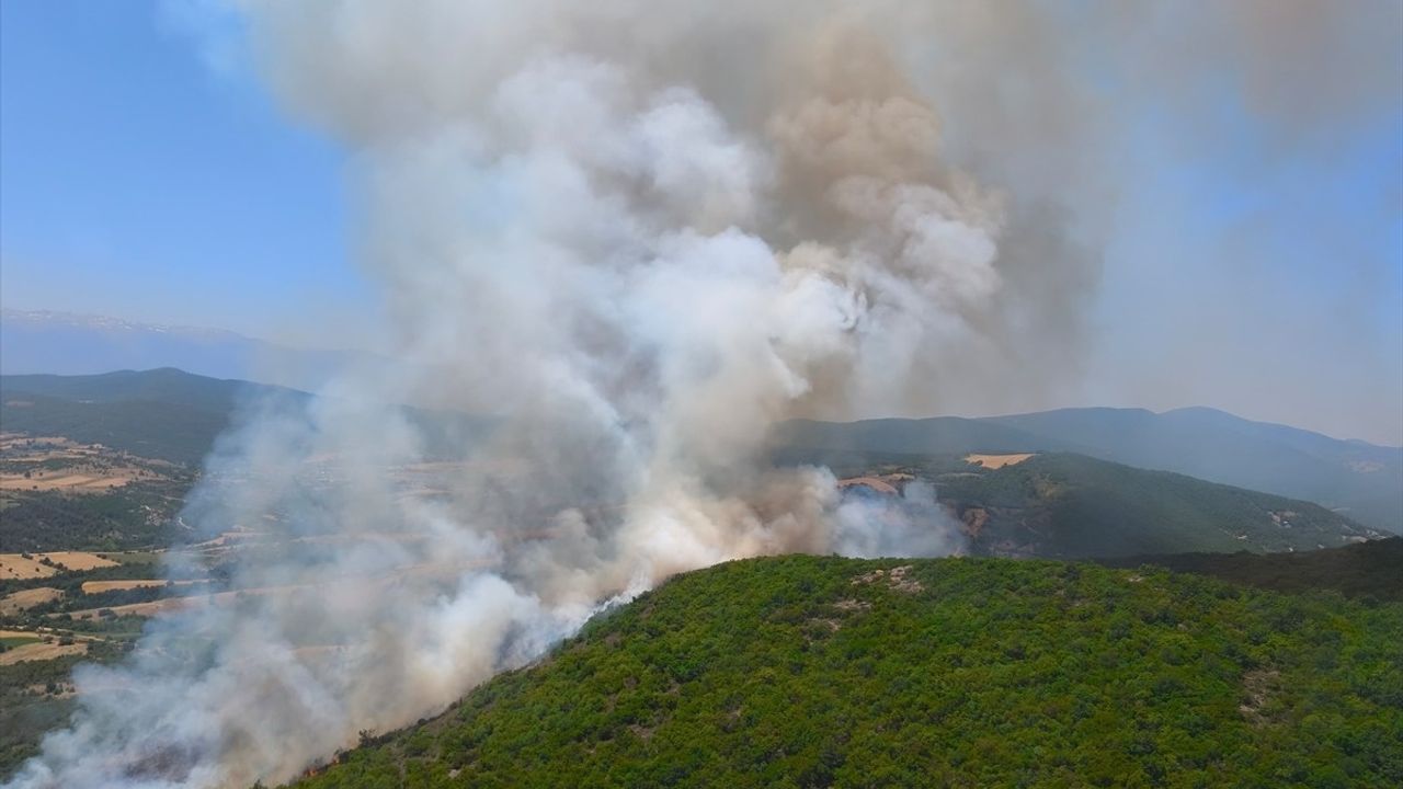 Bursa'da Orman Yangınına Hızla Müdahale Ediliyor