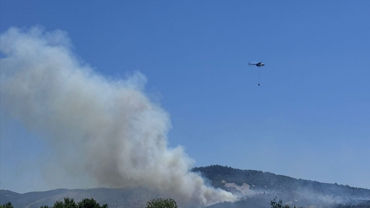 Bursa'da Tarım Alanında Yangın Çıkması Üzerine Müdahale Devam Ediyor