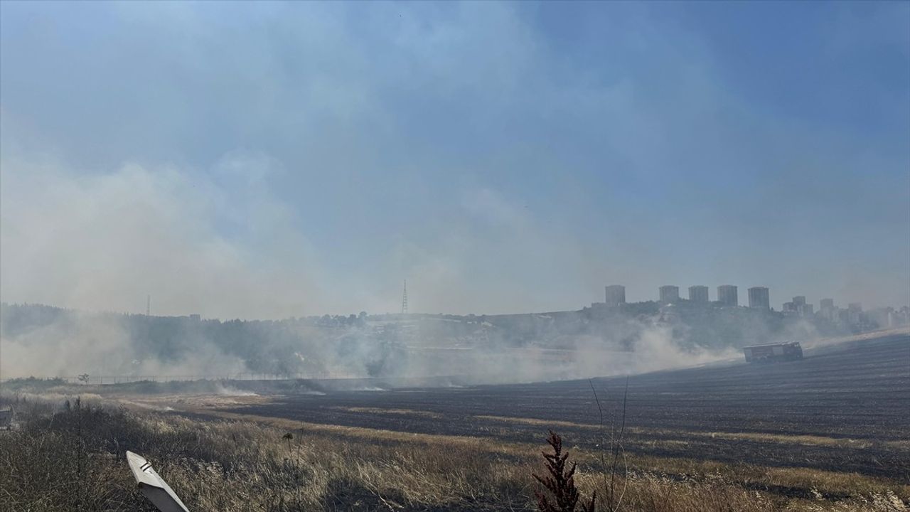 Bursa'da Yerleşim Yeri Yakınındaki Anız Yangını Kontrol Altına Alındı
