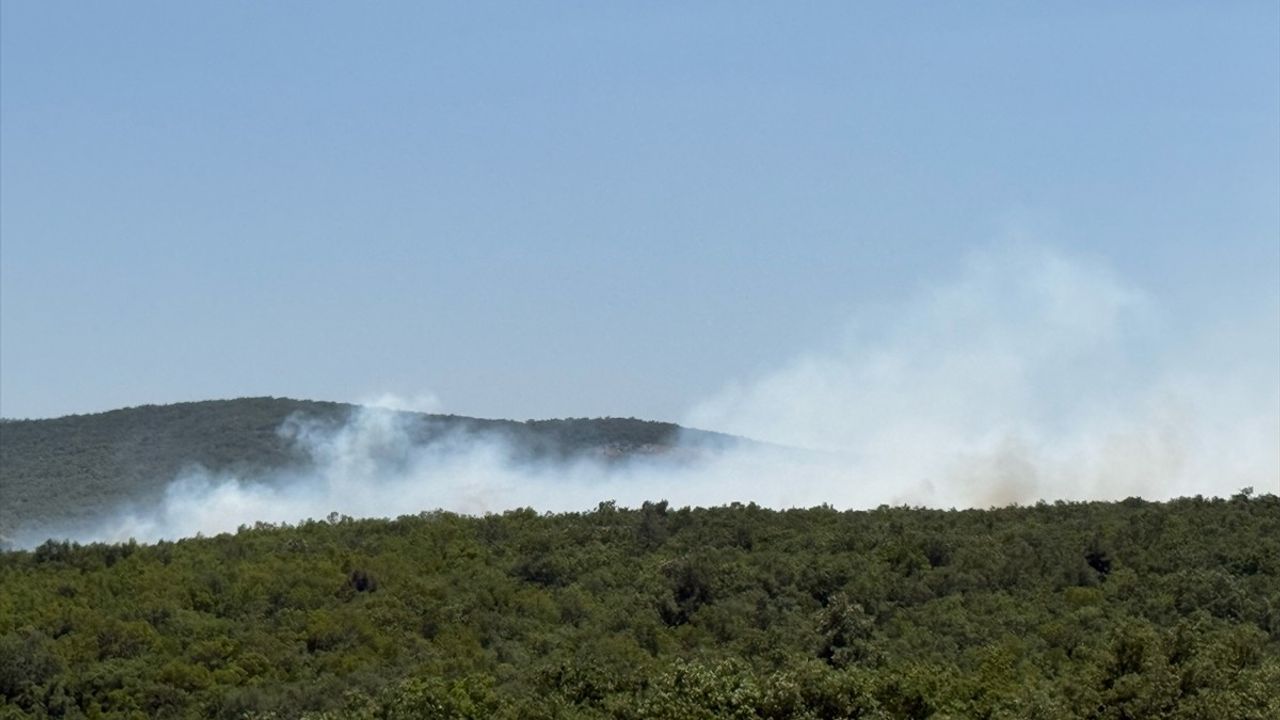 Bursa Nilüfer'deki Orman Yangınına Hızla Müdahale Ediliyor