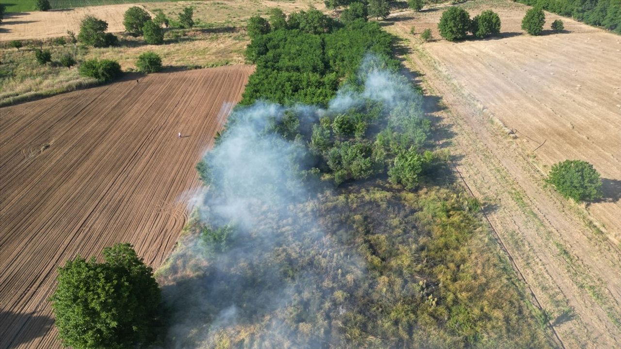Bursa'nın İnegöl İlçesinde Çalılık Alanda Yangın Söndürüldü