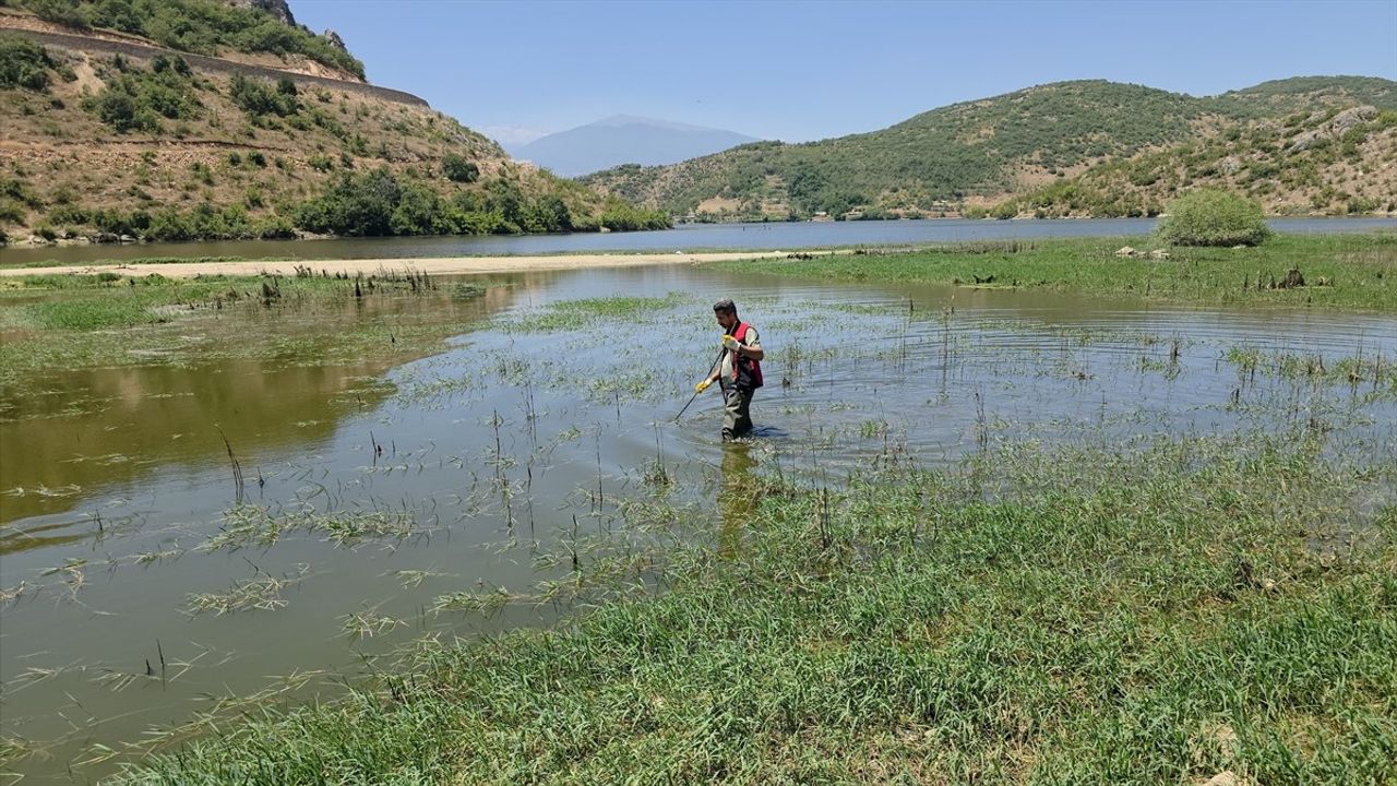 Bursa'nın İnegöl İlçesinde Kayıp İhbarı: Ramiz Göktaş İçin Arama Çalışmaları Devam Ediyor