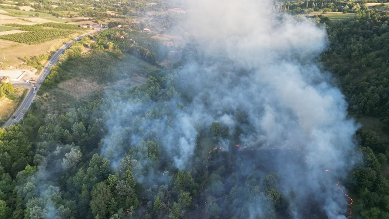 Bursa'nın İnegöl İlçesinde Yangın Kontrol Altına Alındı