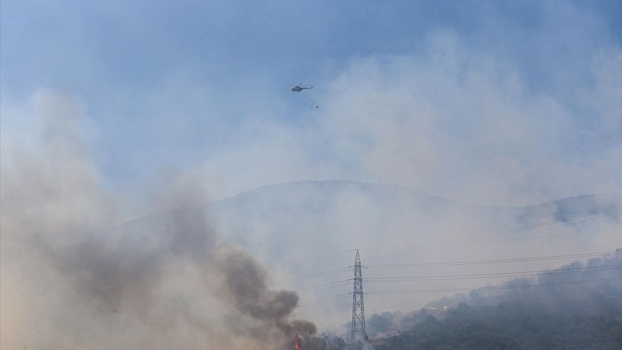 Bursa'nın Yenişehir İlçesindeki Orman Yangını Kontrol Altına Alındı