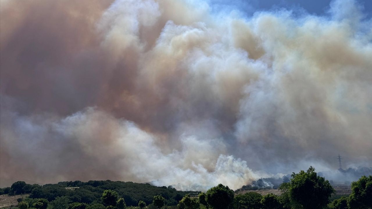Bursa'nın Yenişehir İlçesindeki Orman Yangınına Havadan ve Karadan Müdahale Ediliyor