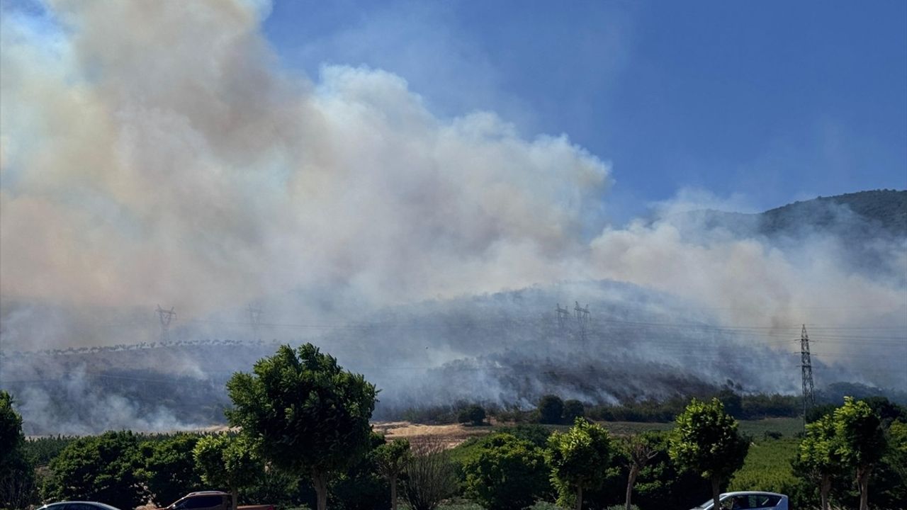 Bursa'nın Yenişehir İlçesindeki Orman Yangınına Müdahale Ediliyor