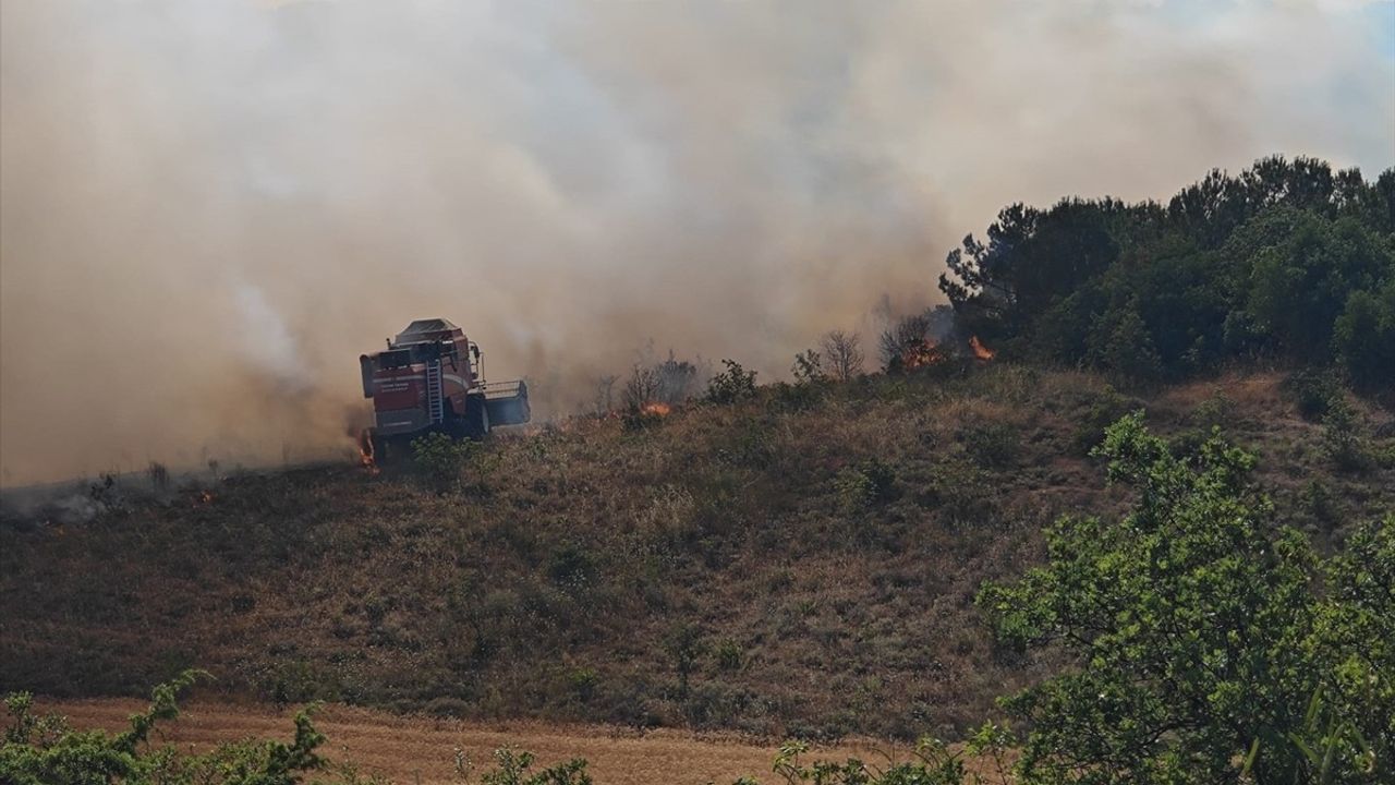 Bursa'nın Yenişehir ilçesindeki orman yangınına müdahale sürüyor