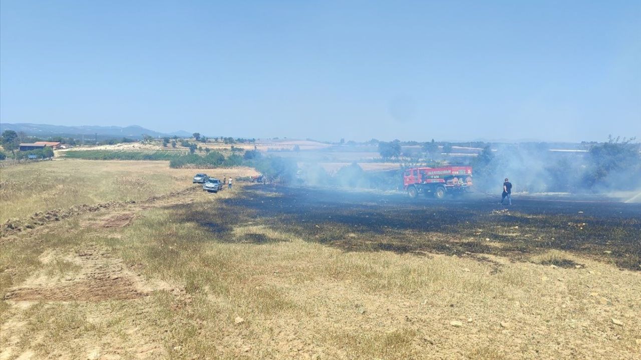 Çanakkale'de Tarım Arazisinde Yangın Kontrol Altına Alındı