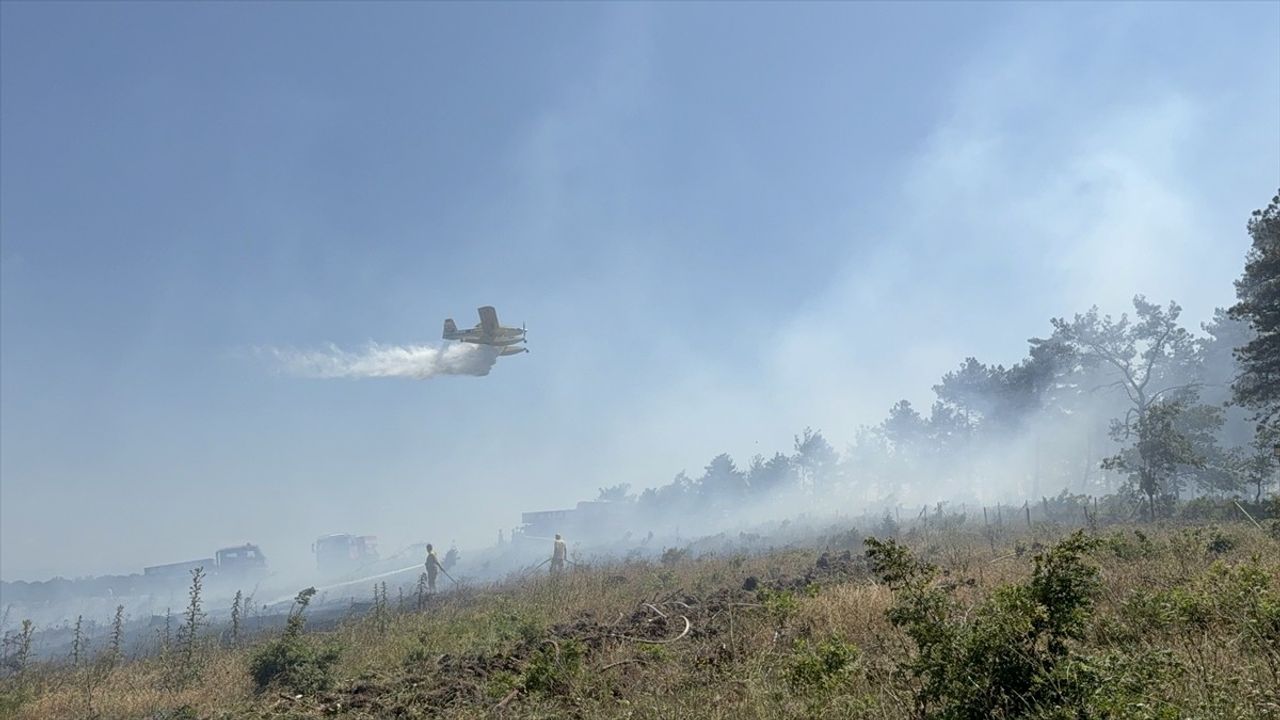 Çanakkale'deki Orman Yangını Kontrol Altına Alındı