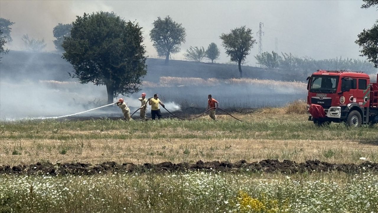 Çanakkale'deki Tarım Arazisinde Yangın Kontrol Altına Alındı