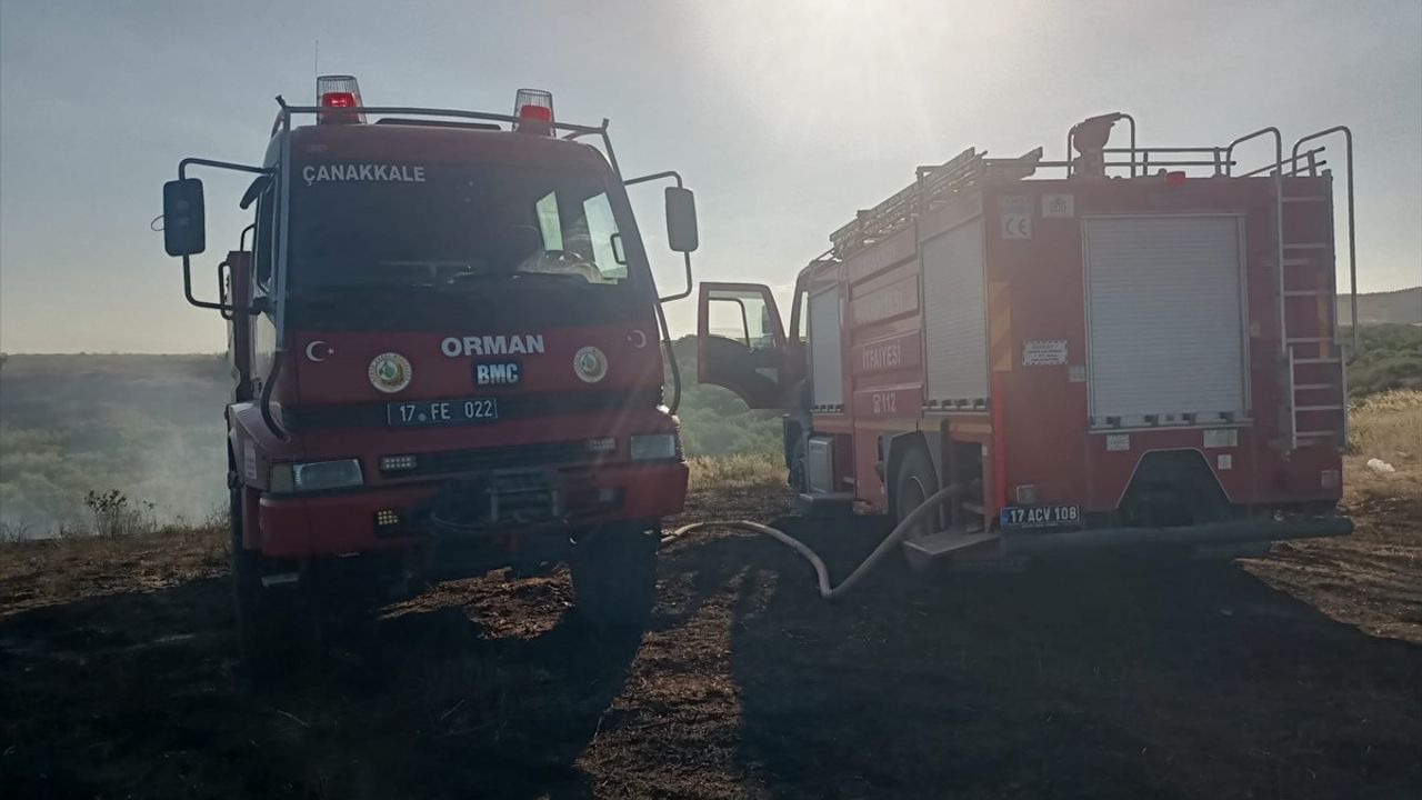 Çanakkale Gelibolu'da Yangın: 100 Dönüm Buğday ve 150 Dönüm Makilik Alan Zarar Gördü