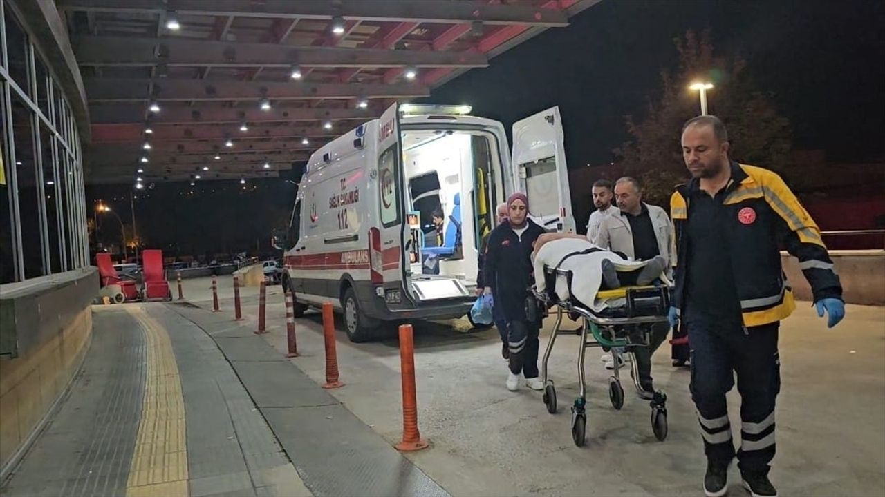 Çorum'da Sahipsiz Köpeklerin Saldırısı Motosiklet Kazasına Neden Oldu