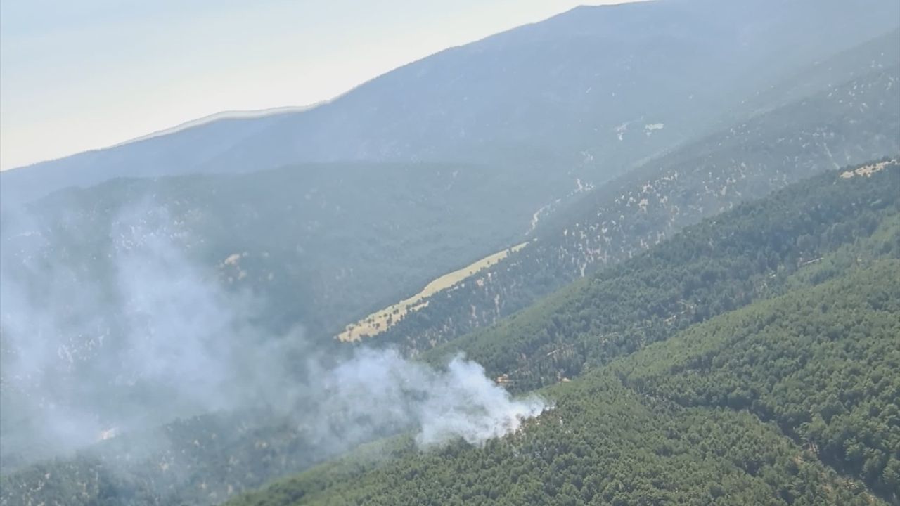 Denizli'nin Çivril İlçesindeki Orman Yangını Kontrol Altına Alındı