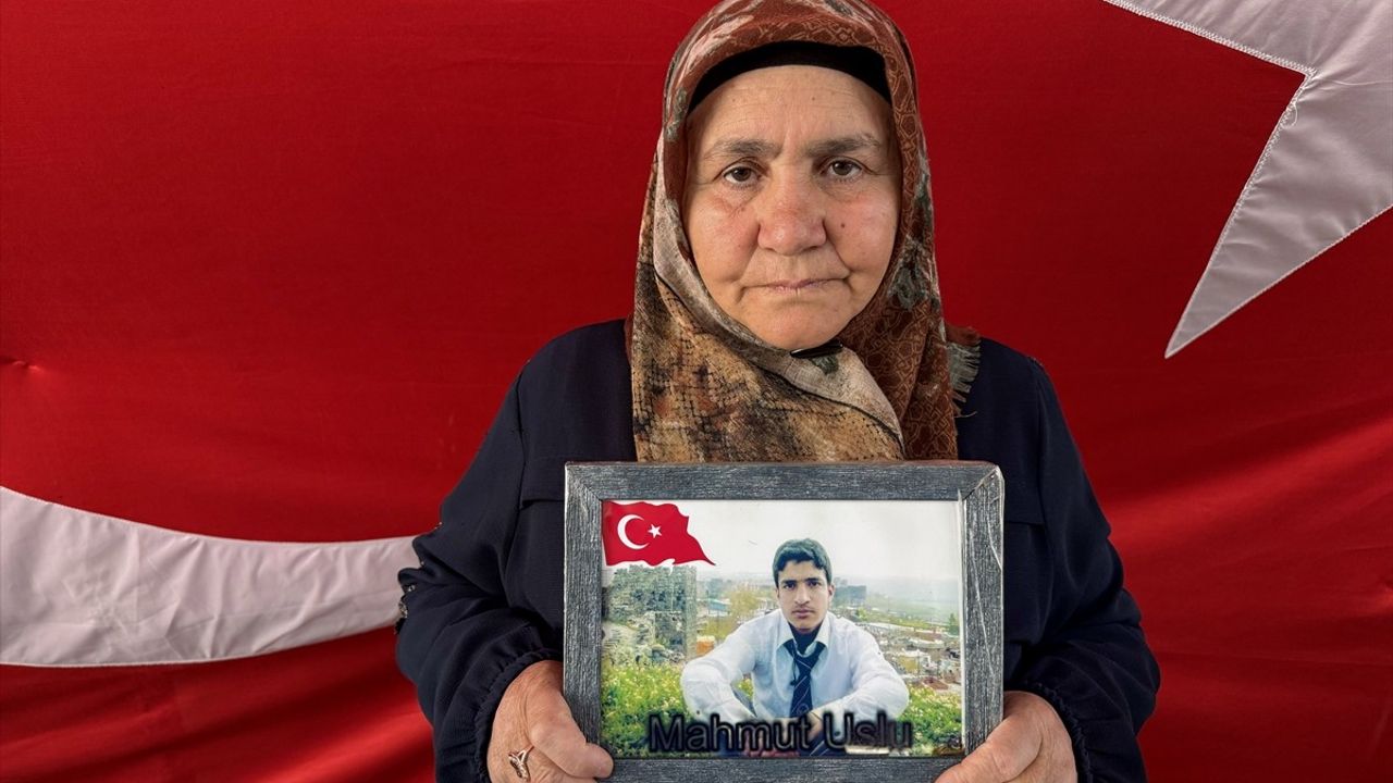 Diyarbakır Anneleri Evlatlarını Bekliyor: Mücadele Devam Ediyor