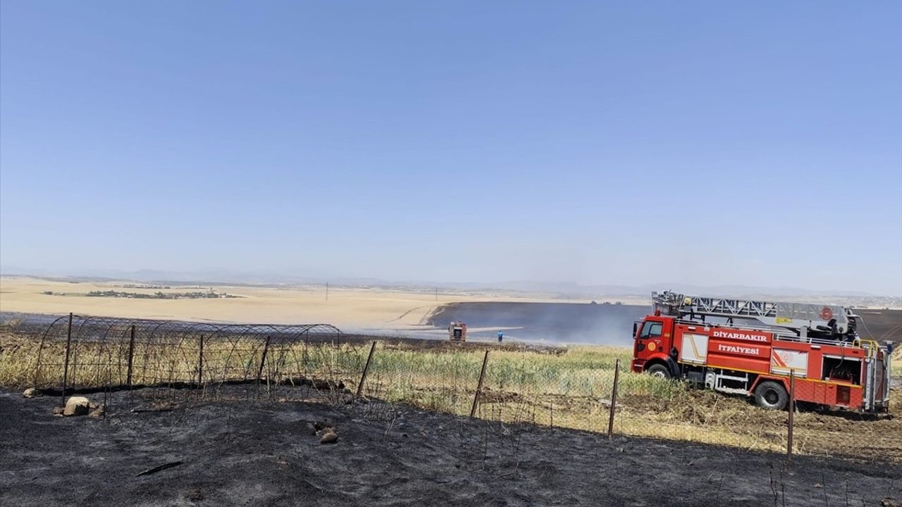 Diyarbakır'da Tarım Arazilerinde Yangın: 1000 Dekar Zarar Gördü