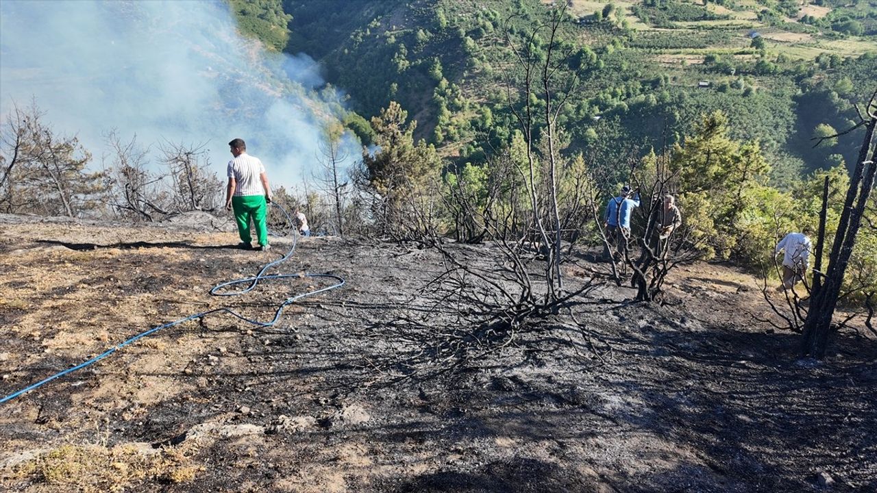 Düzce'de Örtü Yangını Kontrol Altına Alındı
