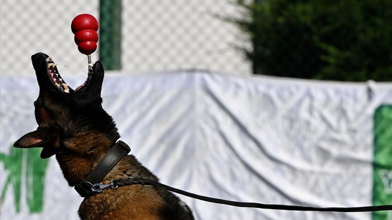 Düzce ve Karabük'te 'Spor Bağımlılıklardan Korur' Farkındalık Etkinliği Düzenlendi