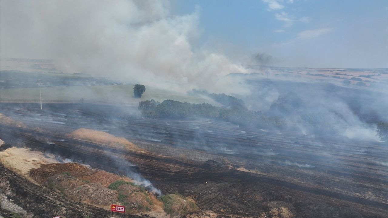 Edirne'de Balya Yüklü Römorktan Tarım Arazilerine Yangın Kontrol Altına Alındı
