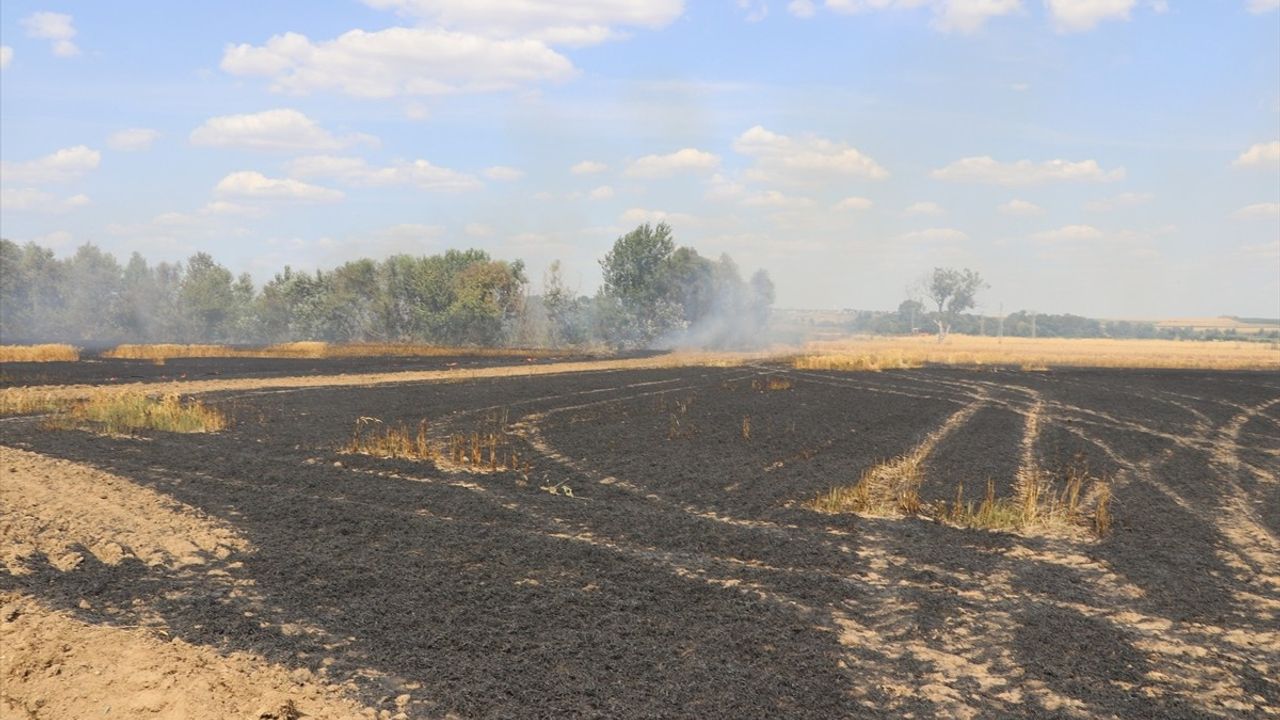 Edirne'de Buğday Ekili Alan Yangında Zarar Gördü