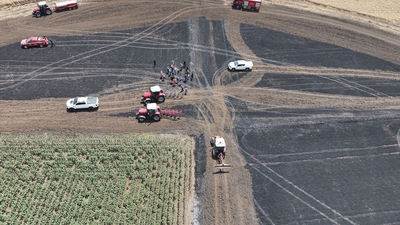 Edirne'de Buğday Tarlasında Yangın: 50 Dekar Alan Zarar Gördü