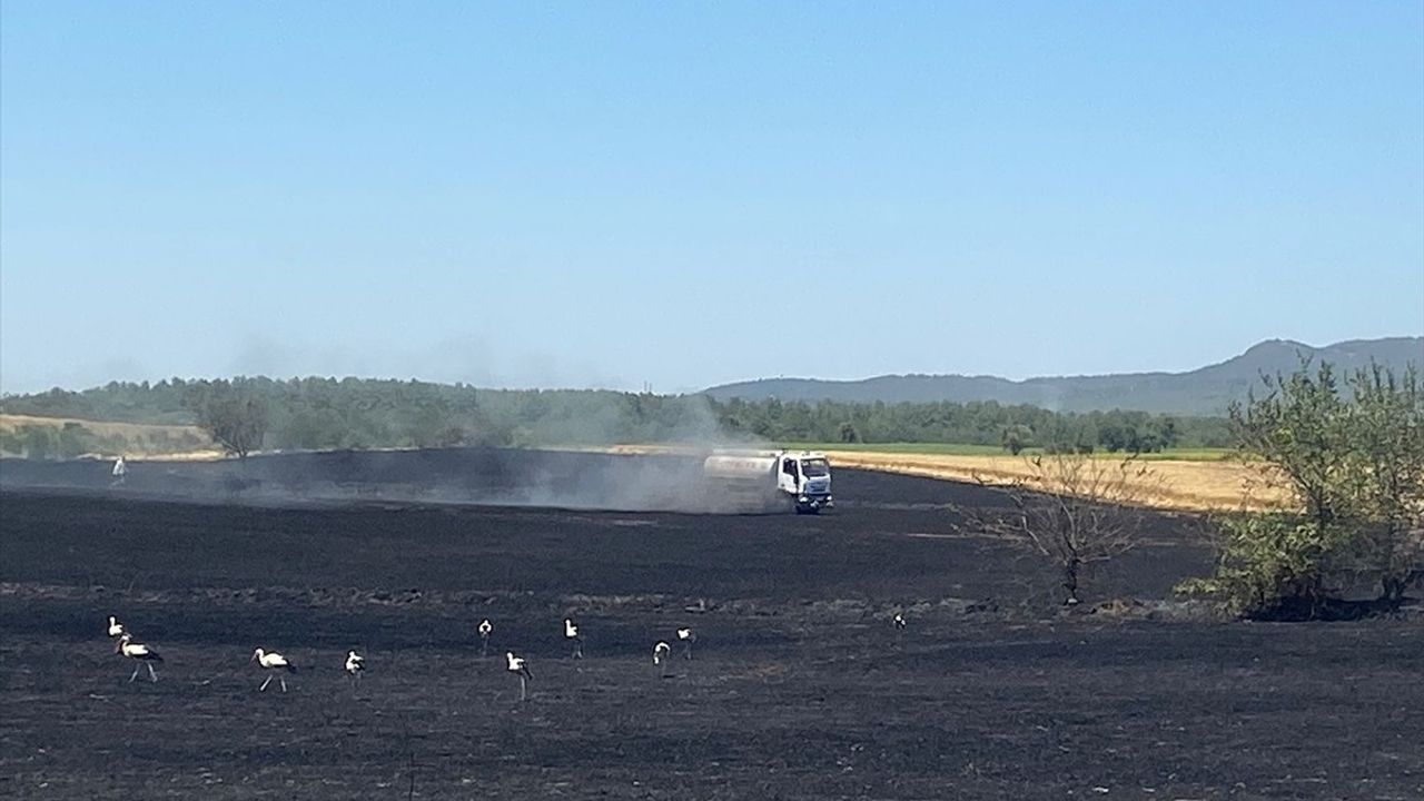 Edirne'de Buğday Tarlasında Yangın Kontrol Altına Alındı