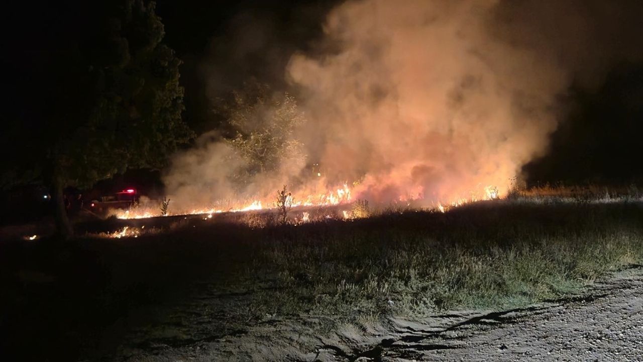 Edirne'de Tunca Nehri Kenarındaki Yangın Kontrol Altına Alındı